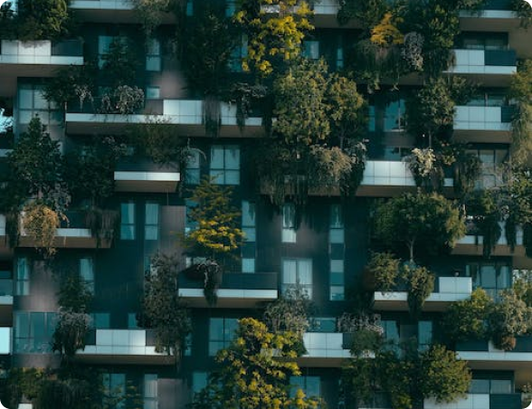 OUR SERVICES TO REAL ESTATE